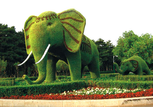 Зоо-ботанический парк Чанчуня