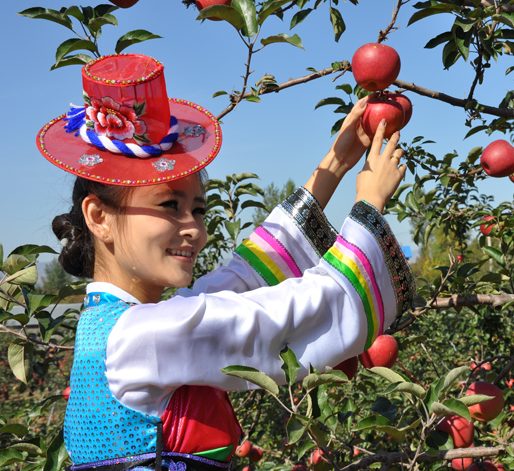Фестиваль сбора яблок в Мэнлин (Хуньчунь) (октябрь)