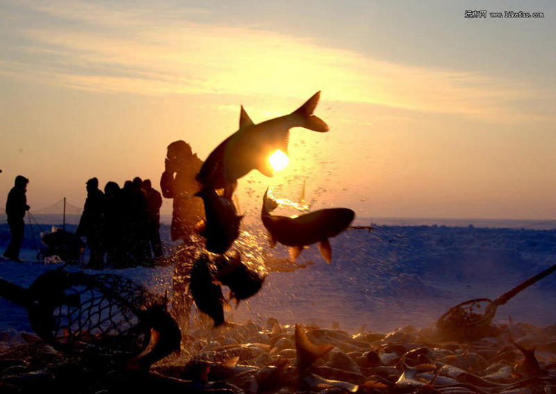 зимняя рыбалка на оби в новосибирске видео
