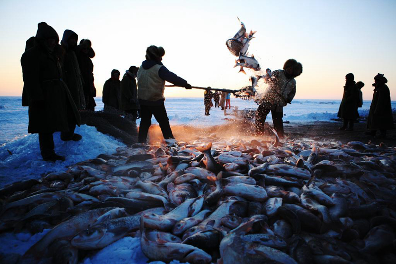зимняя рыбалка в китае видео