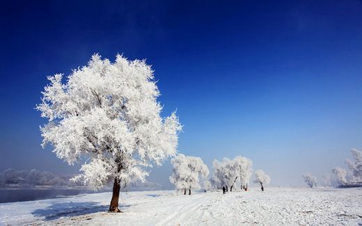  Остров изморози