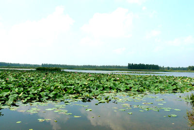 Водохранилища Баи называются еще озерами Баиху, которые находятся на восточной стороне города Сыпин, в 35 км. от города. Из шести водохранилищ образует натуральное озеро, в центре которого расположен остров и полуостров. 