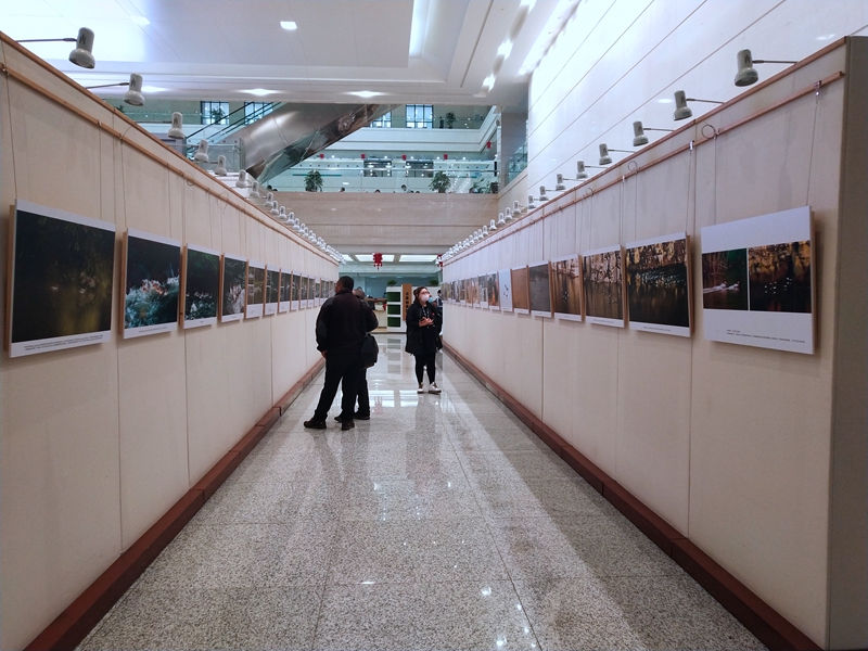 В библиотеке провинции Цзилинь открылась фотовыставка «Чешуйчатые крохали на природе»