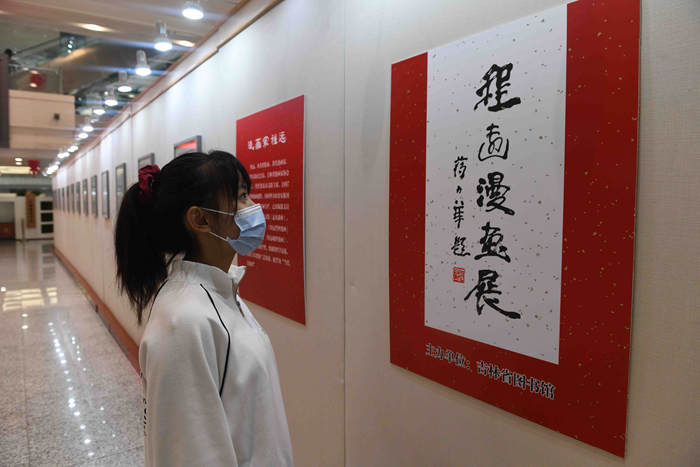 Мир юмора: в Библиотеке провинции Цзилинь проходит выставка «Комиксы Чэн Юаня»